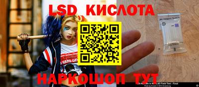 индика Пенза