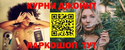индика Пенза