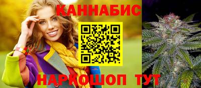 индика Пенза