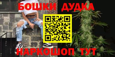 индика Пенза