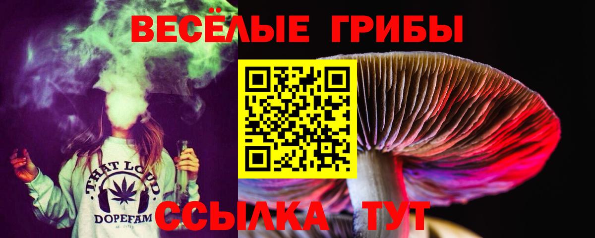 Соликамск  Галлюциногенные грибы Psilocybine cubensis  Вход с VPN 